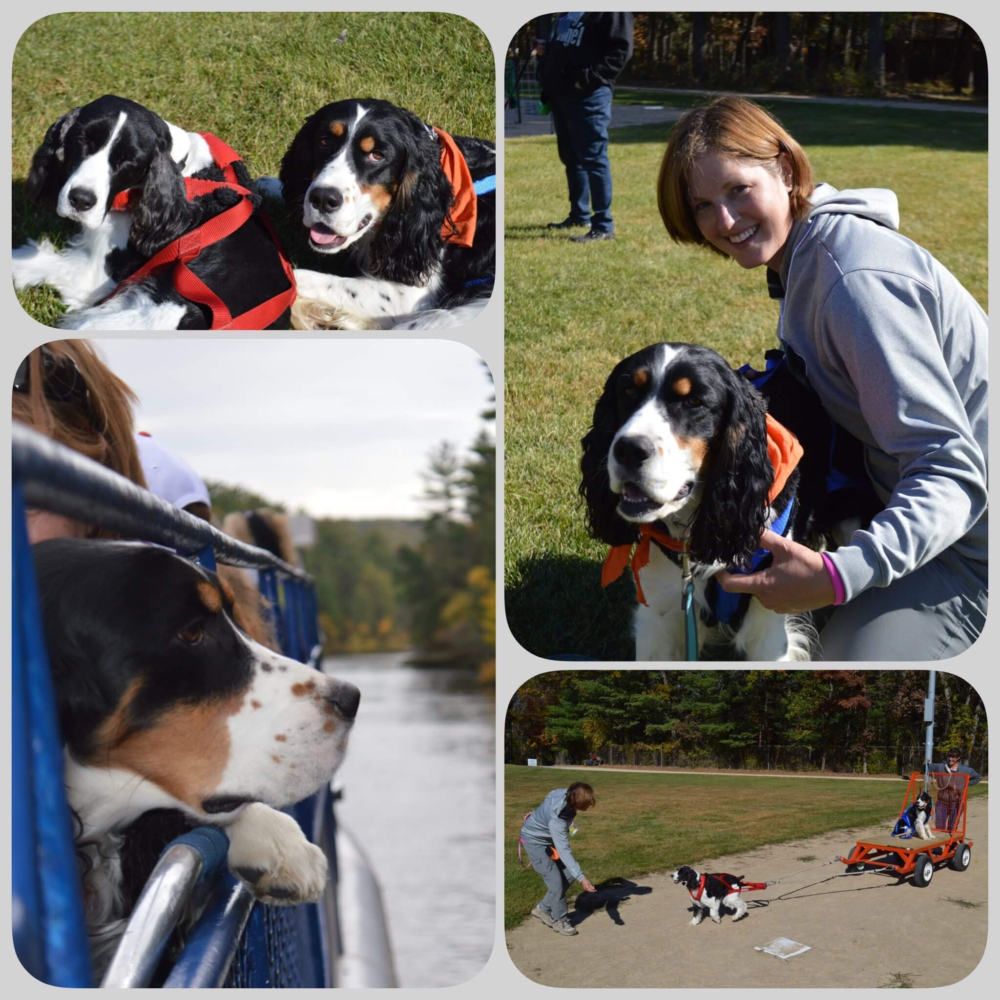 “Paris LOVED It!” A New Camper Recounts Her First Dogwood Experience.